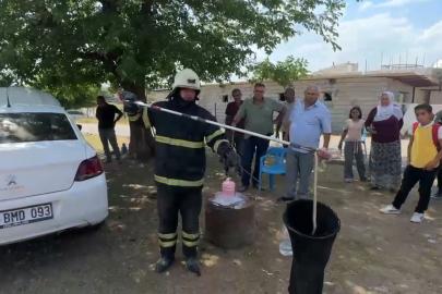 Araç motoruna sıkışan yılan kurtarılarak doğaya salındı