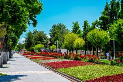 Malatya'da parklar ve kavşaklar çiçeklerle süslendi
