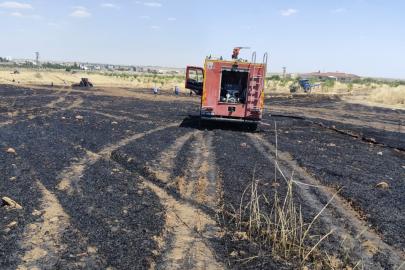 Mardin'de 40 dönüm ekili alan yandı