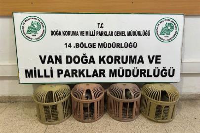 Van'da yasa dışı avlanan kişiye 51 bin TL ceza uygulandı
