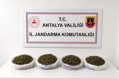 Alanya'da uyuşturucu operasyonu