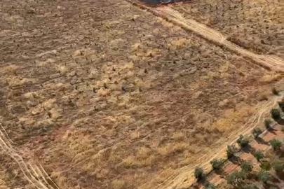 Antalya'da, dün yanan ormanın bitişiğinde arazide yangın