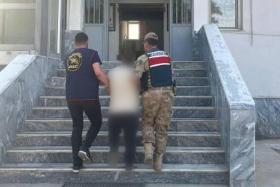 Birecik'te hırsızlık suçundan aranan hükümlü yakalandı