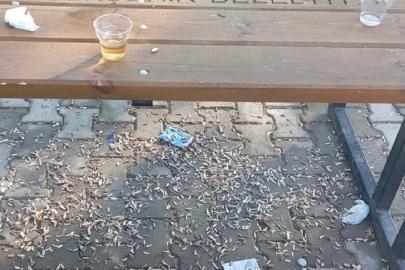 İzmir'de vatandaşlar parklarda denetimlerin artırılmasını talep ediyor