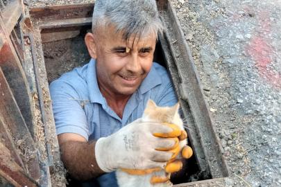 Kanalizasyona düşen kedi kurtarıldı