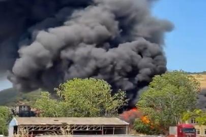 Kocaeli'deki fabrika yangınında bir kişi hayatını kaybetti, 2 işçi yaralandı