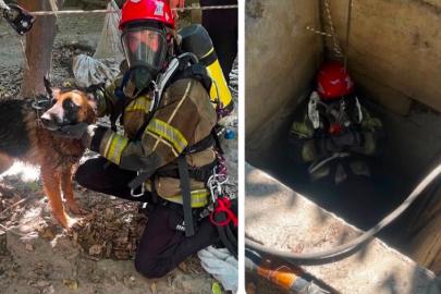 Kuyuya düşen köpek itfaiye ekiplerince kurtarıldı
