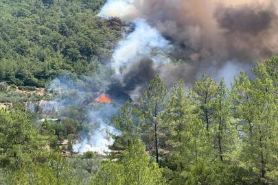 Muğla ve Antalya'da orman yangını. Ekipler sevk edildi
