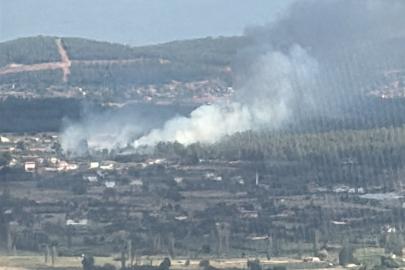Muğla'da orman yangını. Havadan ve karadan müdahale ediliyor