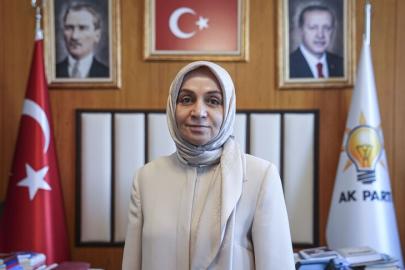Terörsüz Türkiye süreci | Çerçeve yasa ne zaman gelecek? AK Partili Usta'dan açıklama