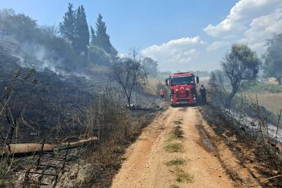 Yol kenarında başlayan yangın söndürüldü