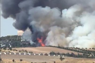 Ankara'da ormanlık alanda çıkan yangına müdahale ediliyor