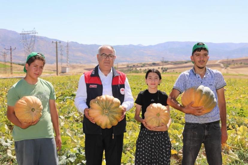 Elazığ’da kabak hasadı başladı: 4 bin tonun üzerinde rekolte bekleniyor
